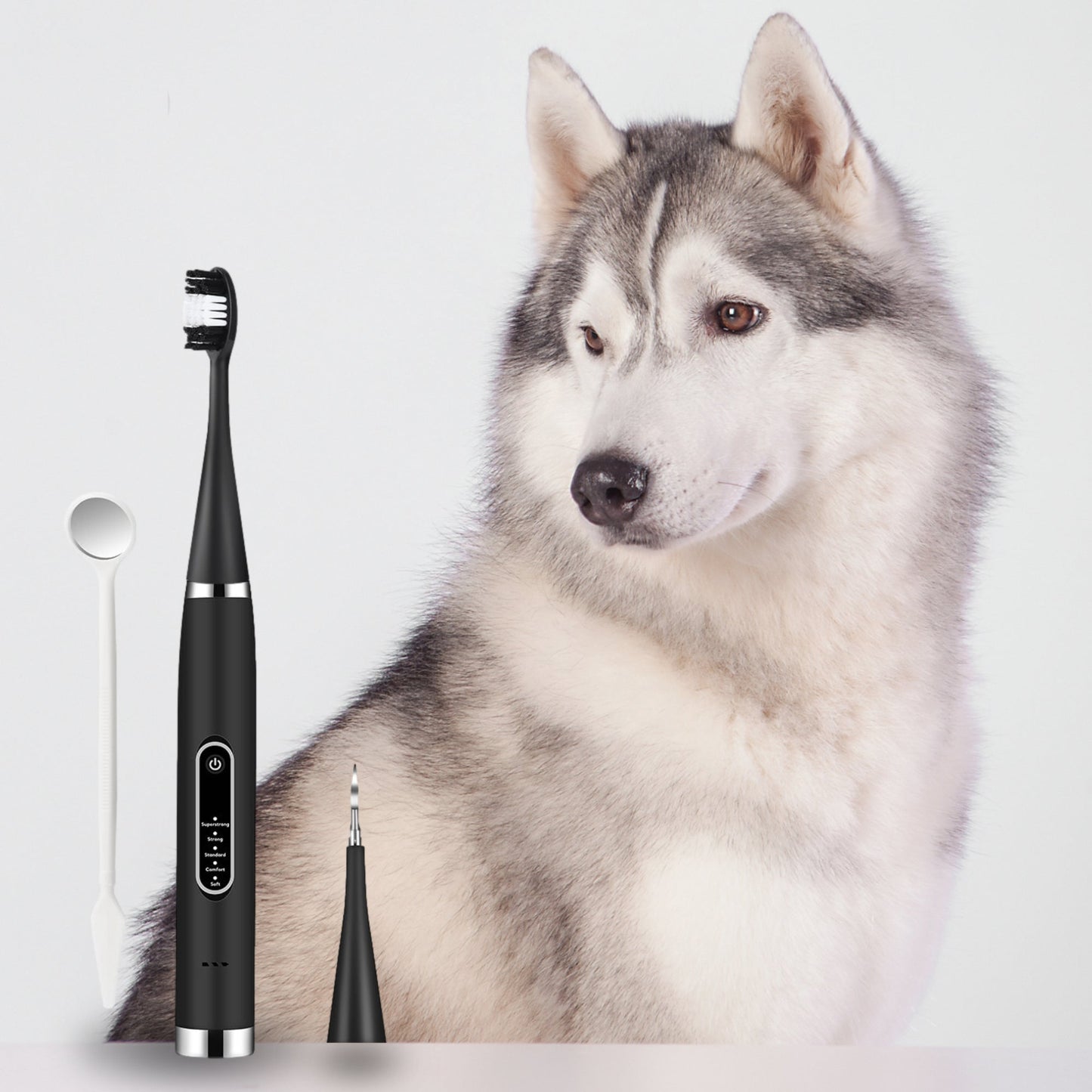 Nematyta™ - Dental Scaler For Dogs
