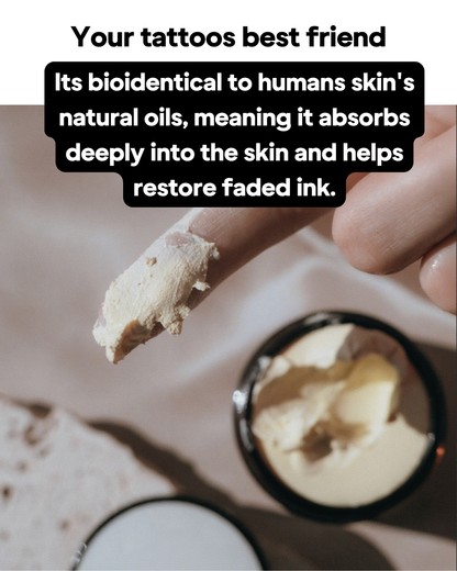 Beef Tallow & Sunscreen Complex