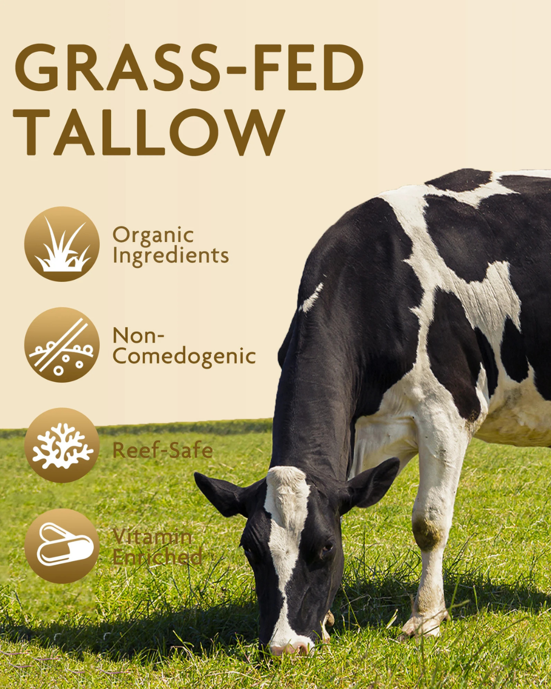 Beef Tallow & Sunscreen Complex