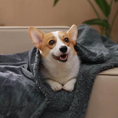 Cozy™ Waterproof Blanket
