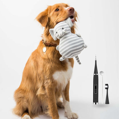 Nematyta™ - Dental Scaler For Dogs