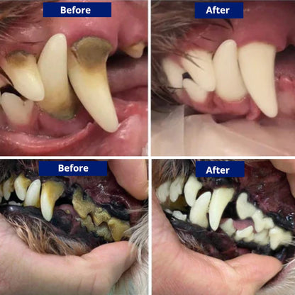 Nematyta™ - Dental Scaler For Dogs